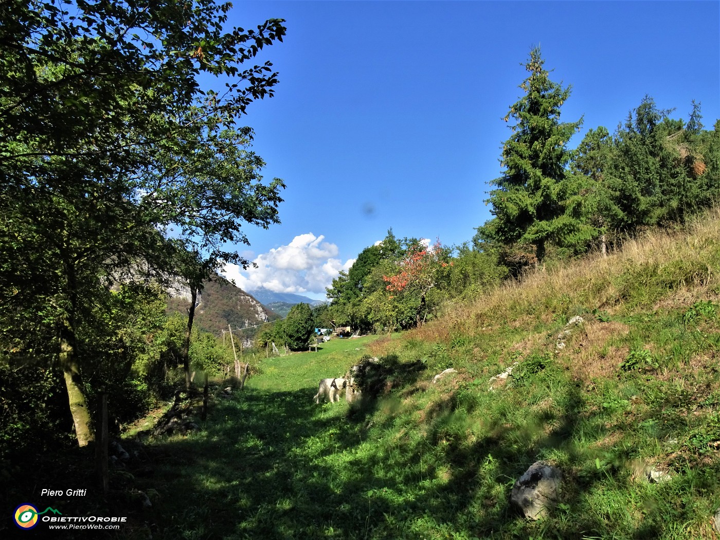 58 Passiamo per sentierino sui prati a fianco della Casa Castello (600 m).JPG